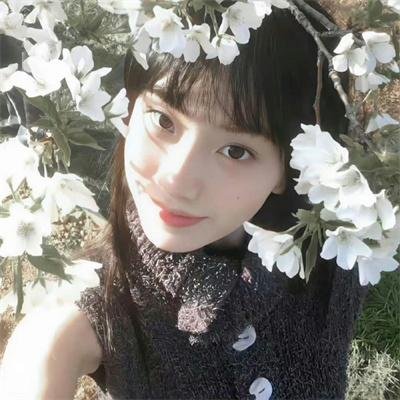 追捕野狼帮